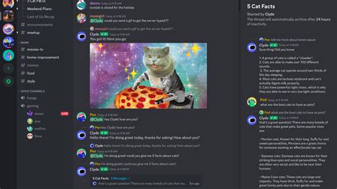 hot for bot|r/Discord